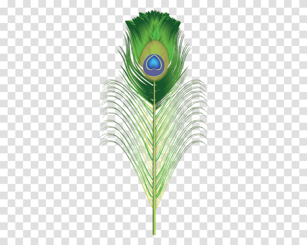 Peacock Brush For Adobe Illustrator Green Images Peacock Feather, Plant, Ornament Transparent Png