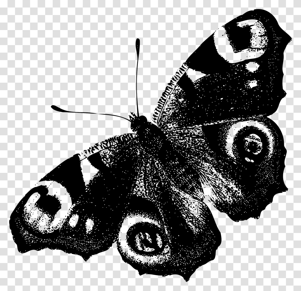 Peacock Butterfly Black And White, Gray, World Of Warcraft Transparent Png