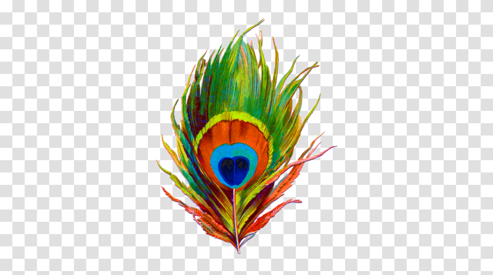 Peacock Clipart Clip Art Images, Pattern, Ornament, Dye, Fractal Transparent Png