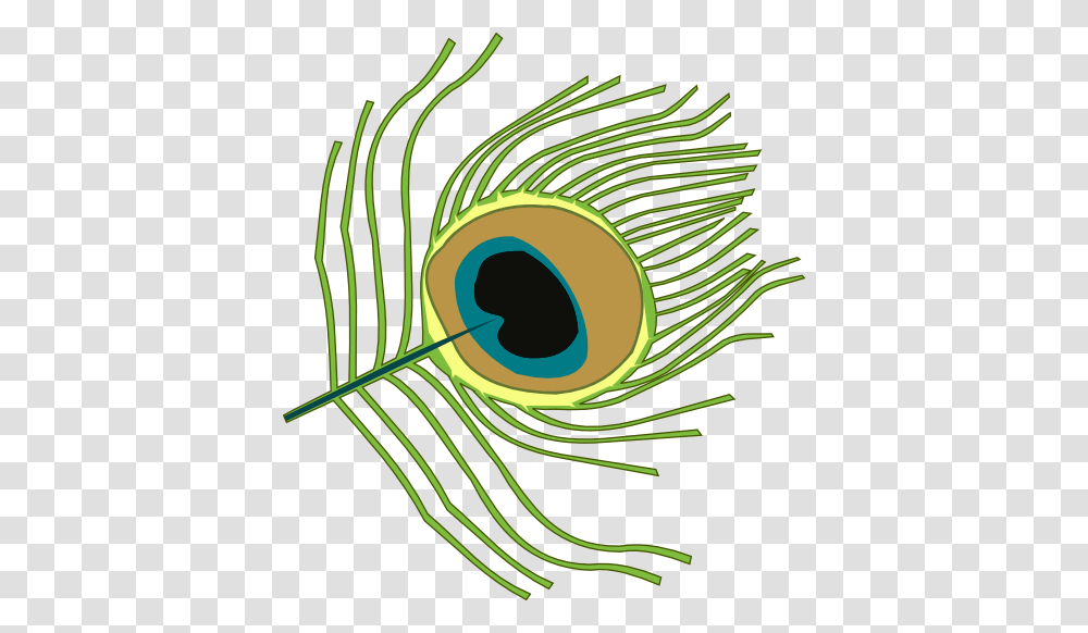 Peacock Clipart, Plant, Green, Hole Transparent Png