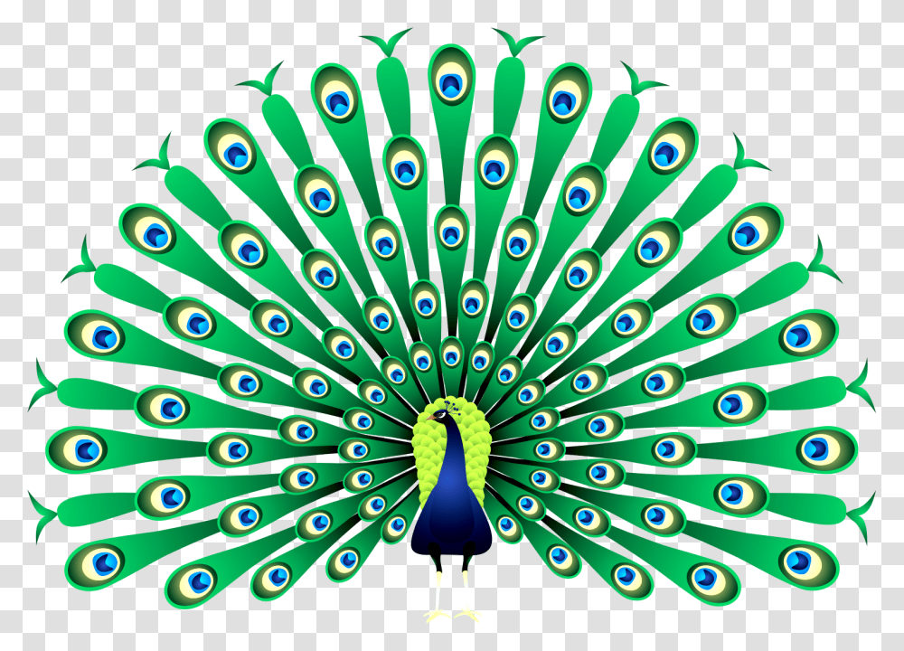 Peacock Clipart India, Bird, Animal, Pattern Transparent Png