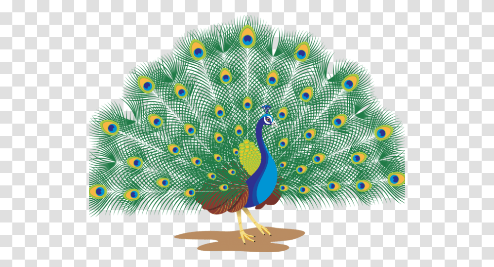 Peacock Clipart Peacock Dance Peacock With White Background, Bird, Animal Transparent Png
