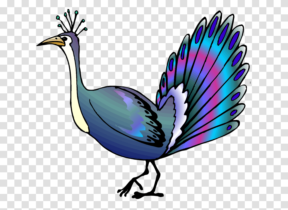 Peacock Clipart To Print Peacock Clipart, Bird, Animal, Jay, Waterfowl Transparent Png
