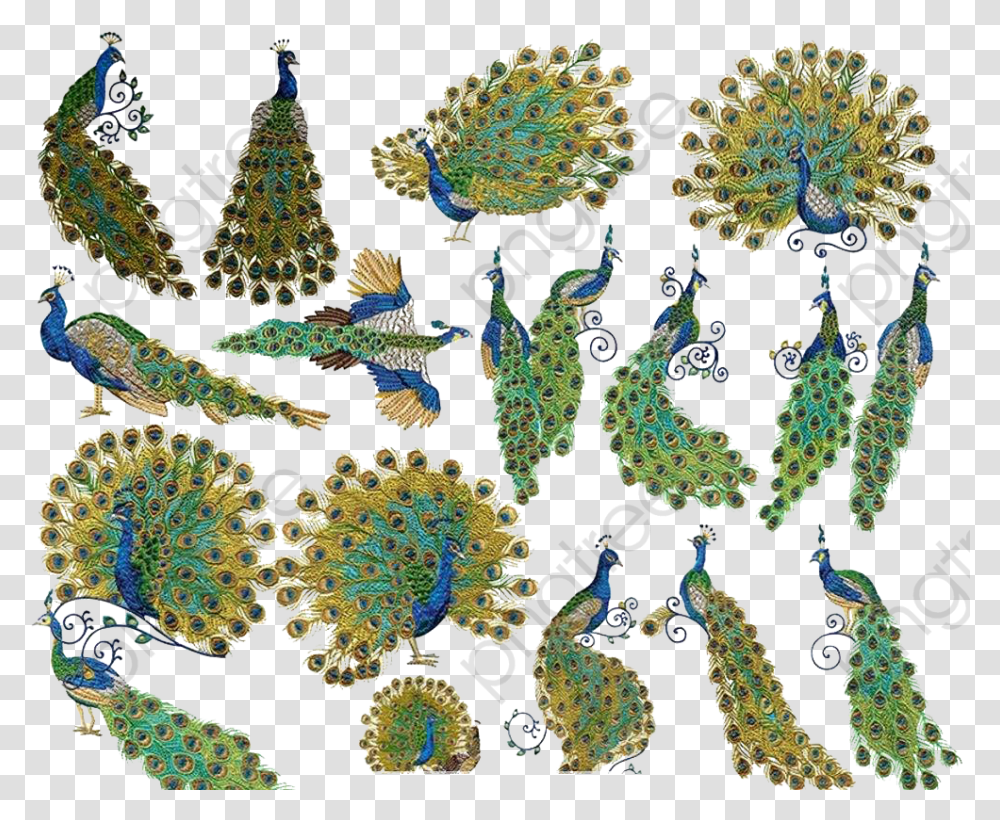 Peacock Design Peacock Clipart Peacock Tail Animal, Ornament, Pattern, Fractal, Tree Transparent Png