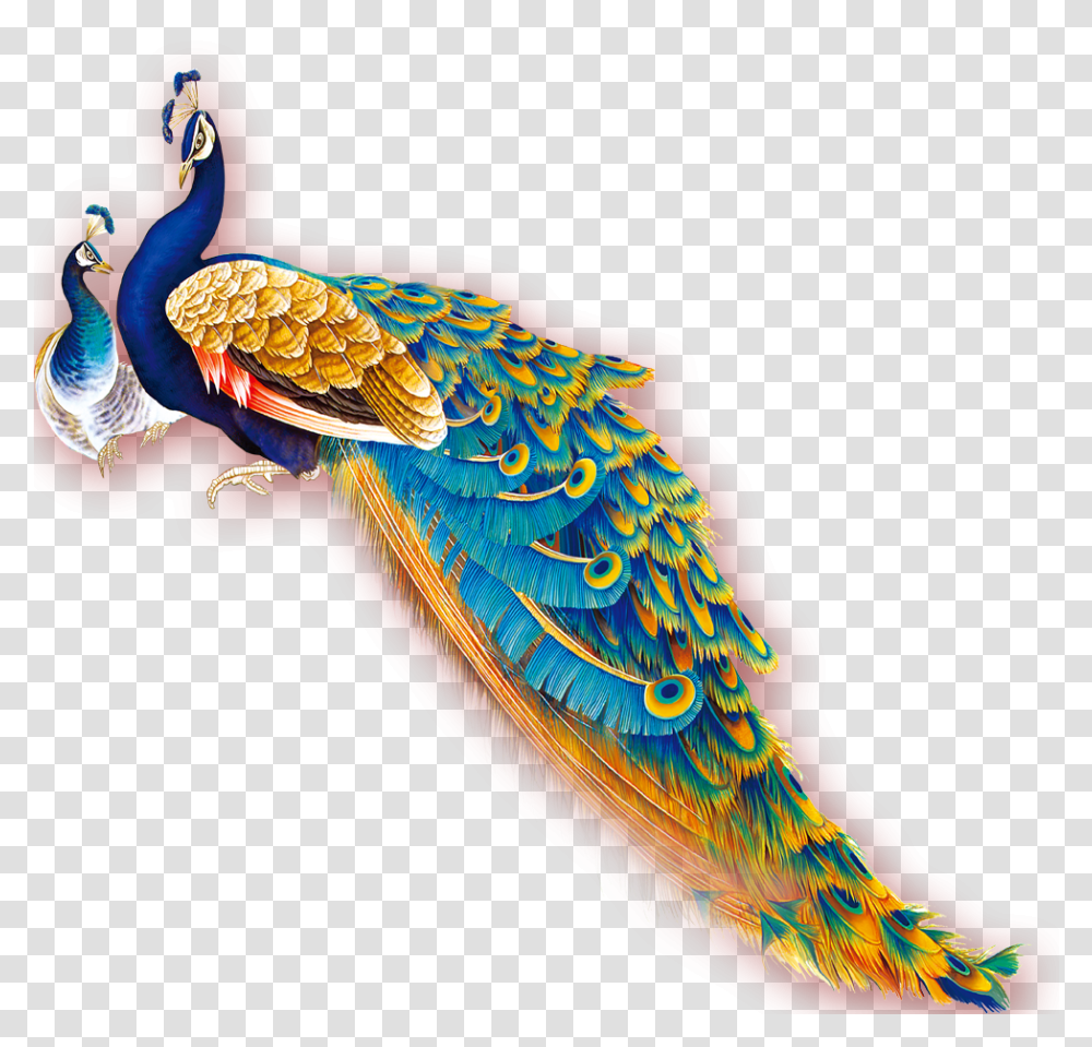 Peacock Download Clip Art, Bird, Animal, Pattern, Ornament Transparent Png