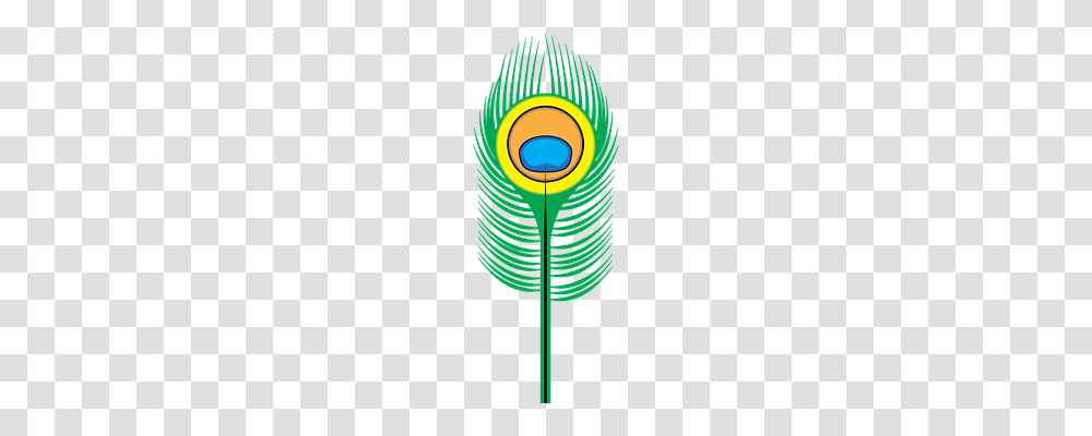 Peacock Feather Animals, Pattern, Ornament, Electronics Transparent Png