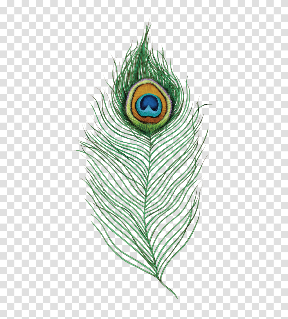 Peacock Feather, Animal, Bird, Pineapple, Fruit Transparent Png