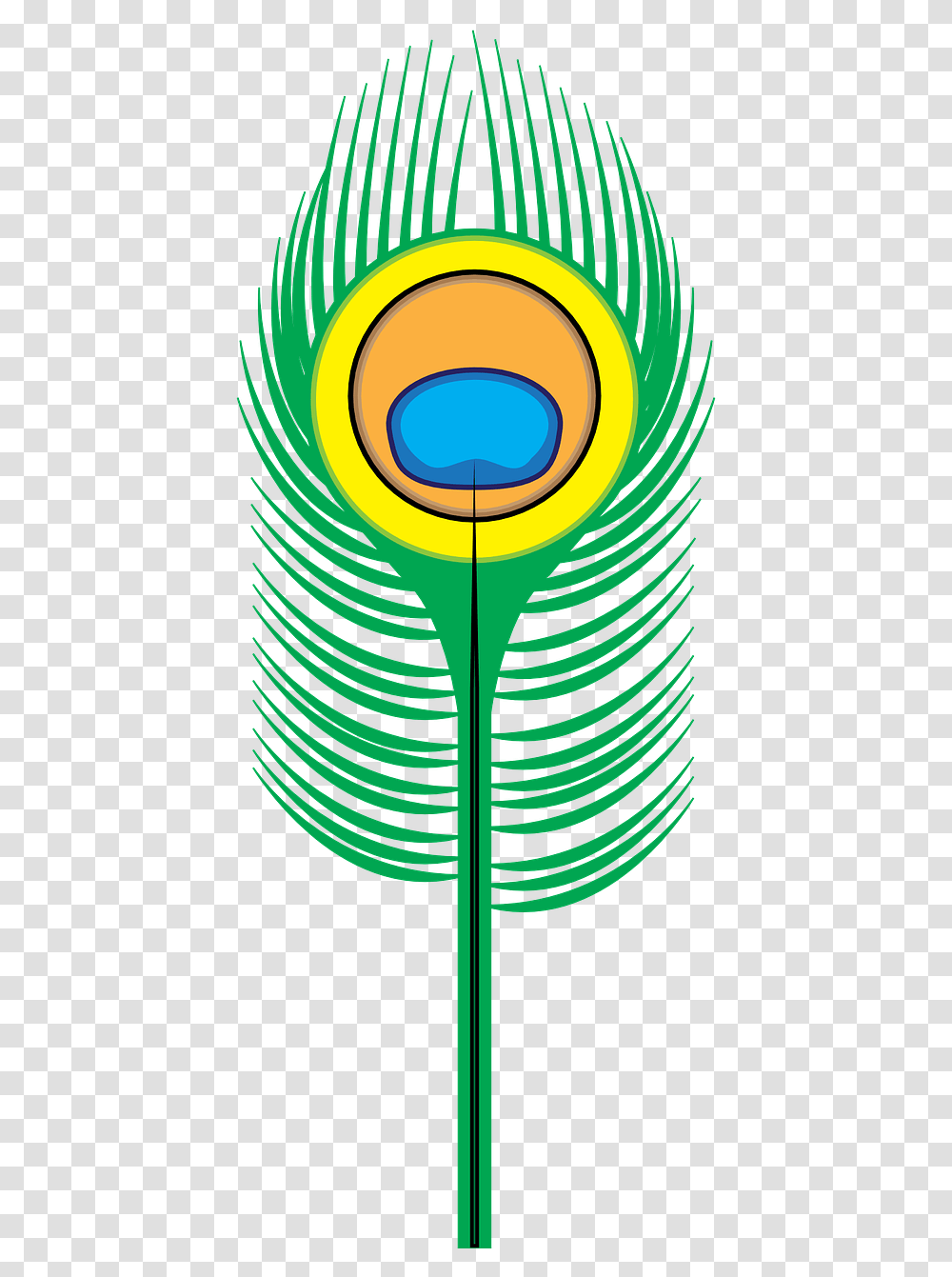 Peacock Feather Bird Cartoon Peacock Feather Drawing, Ornament, Pattern, Graphics, Fractal Transparent Png