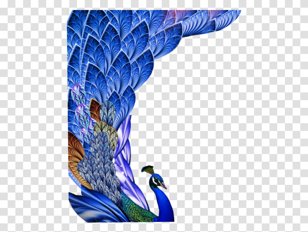 Peacock Feather Clipart Peacock Feather Images Hd Free Download, Bird, Animal, Ornament, Pattern Transparent Png