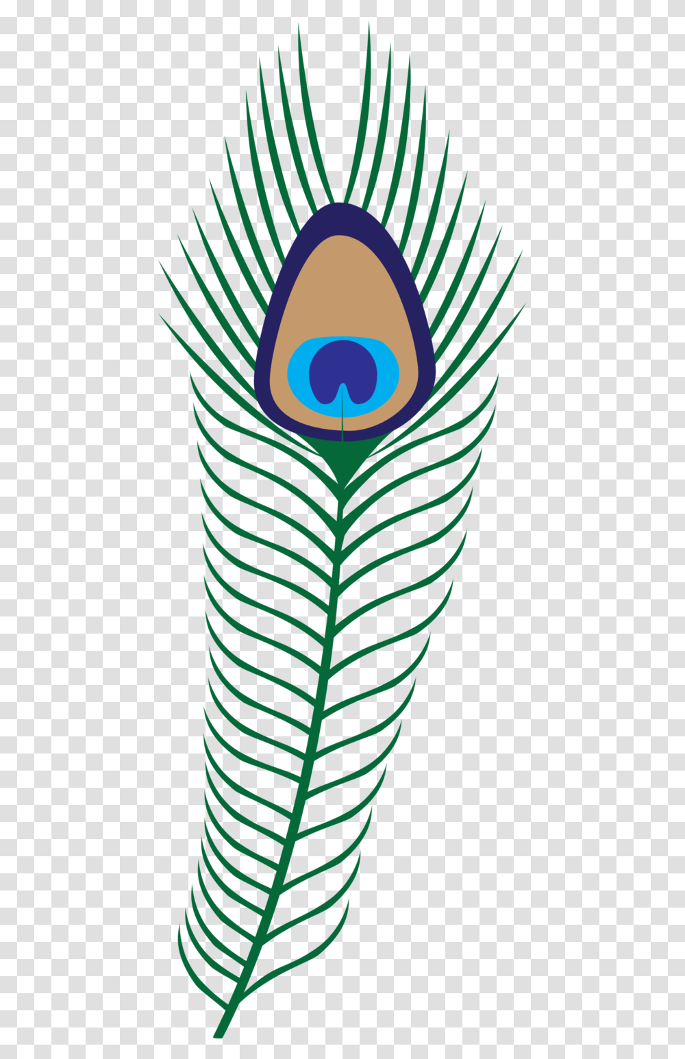 Peacock Feather Clipart, Plant, Leaf Transparent Png