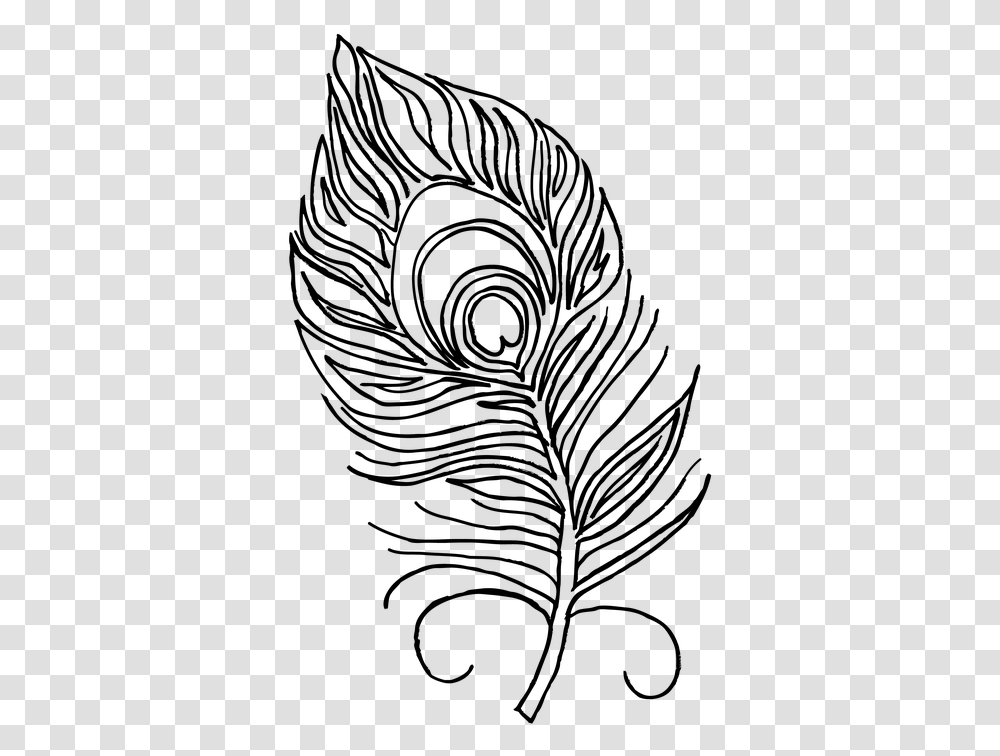 Peacock Feather Coloring Book Feather Peacock Pen Peacock Feathers Coloring Pages, Gray, World Of Warcraft Transparent Png