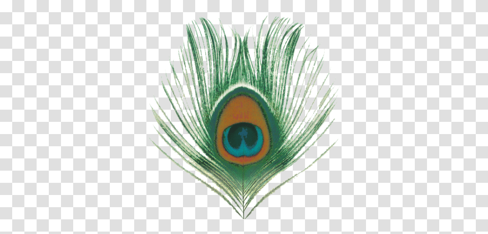 Peacock Feather Eye Images 3117 Xtc Apple Venus Volume 1 Discogs, Animal, Rug, Bird, Graphics Transparent Png