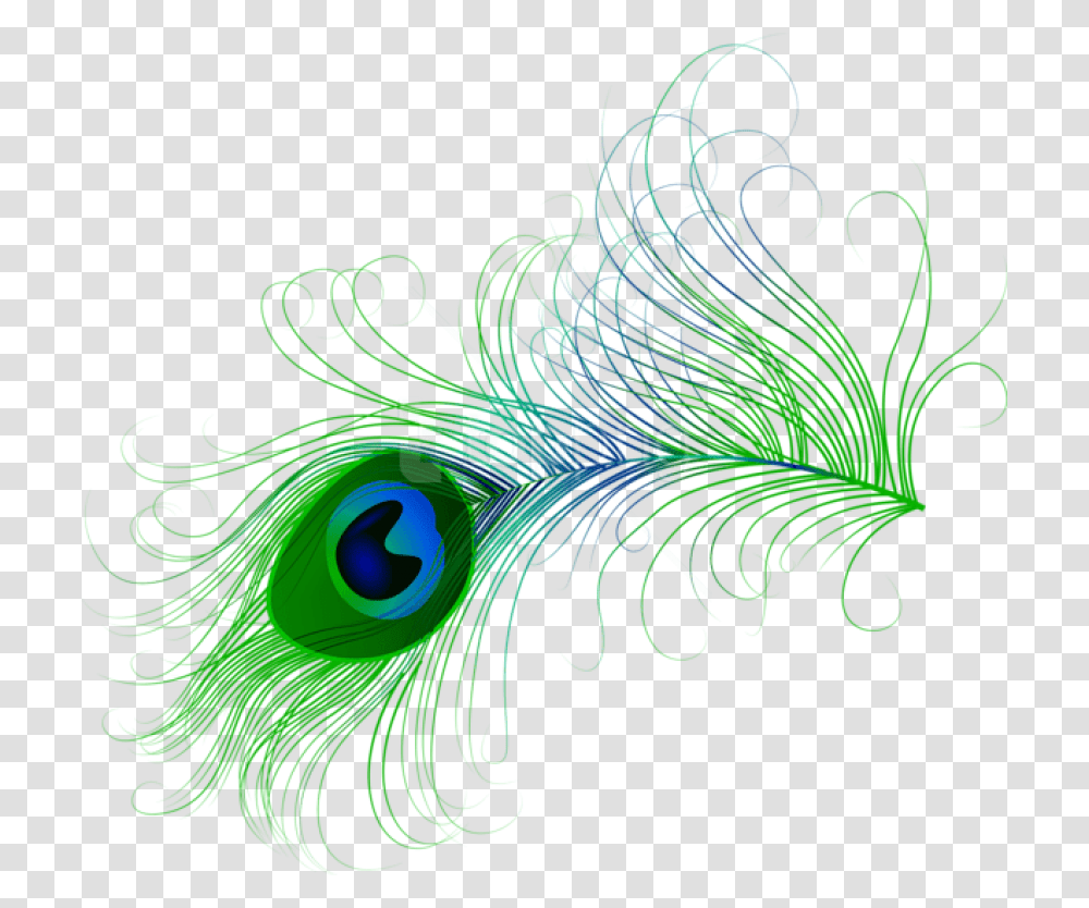 Peacock Feather, Floral Design, Pattern Transparent Png