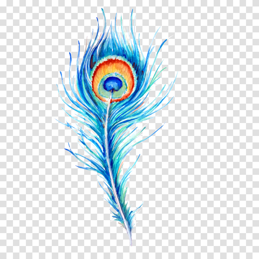 Peacock Feather Hand Drawn Illustration Free Download, Floral Design, Pattern Transparent Png