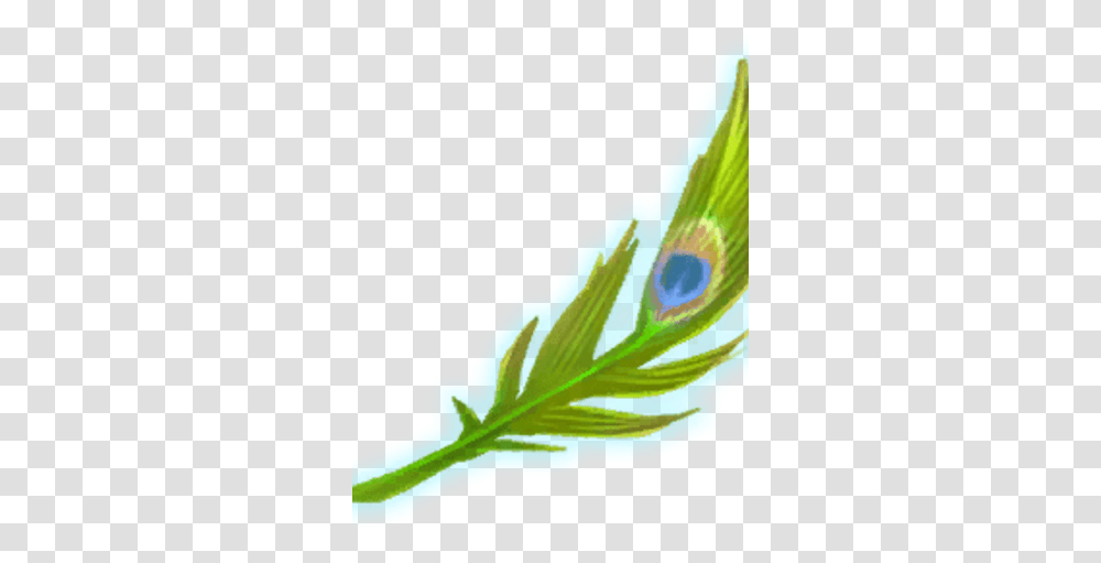 Peacock Feather Harry Potter Wizards Unite Wiki Fandom Flower, Plant, Leaf, Vegetable, Food Transparent Png