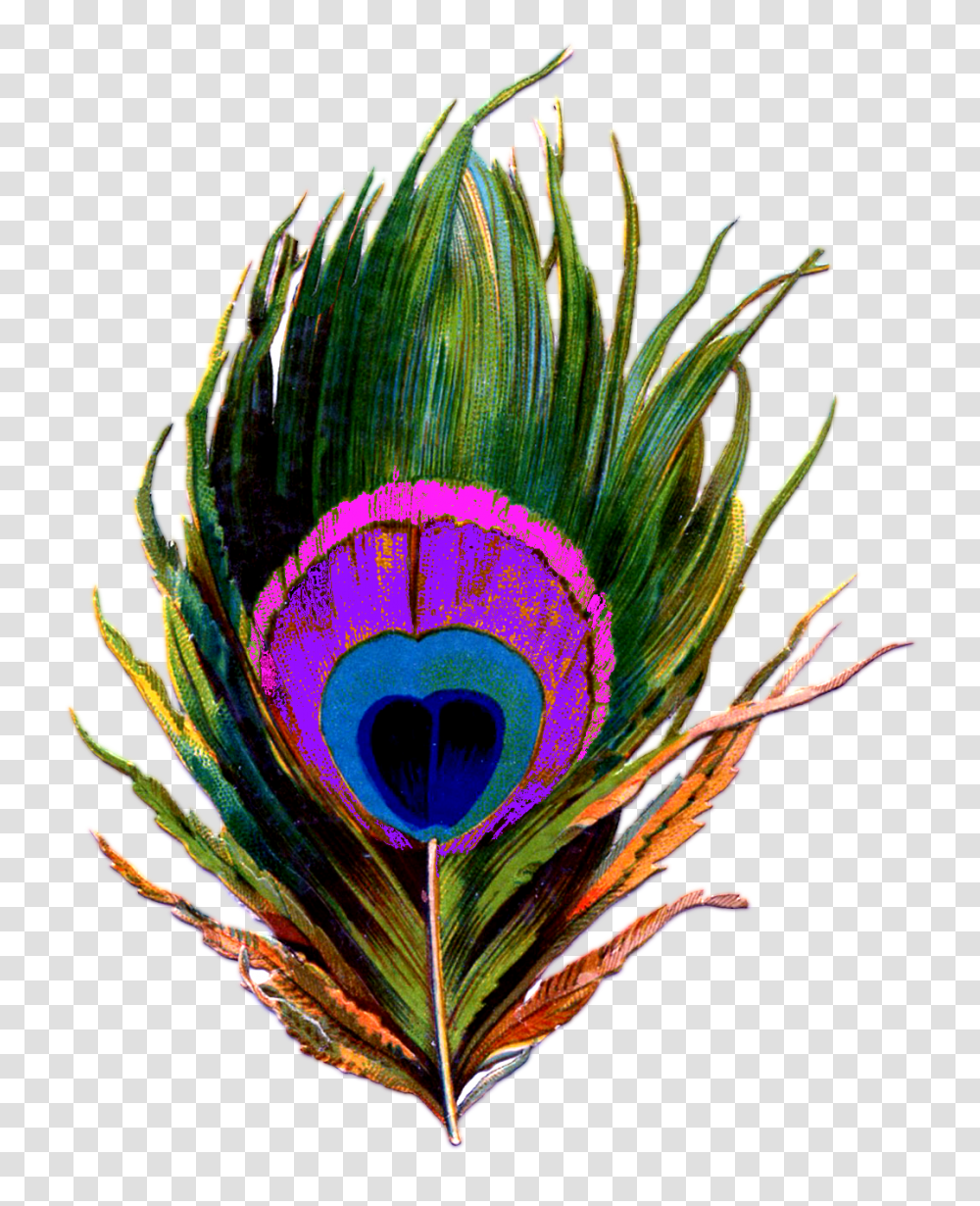 Peacock Feather Images, Pattern, Ornament, Pineapple, Fruit Transparent Png