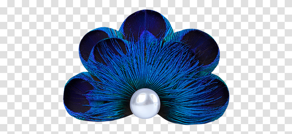 Peacock Feather Pearl Pet Hair Clip Peacock Feather Hair In, Screen, Electronics, Bird, Animal Transparent Png