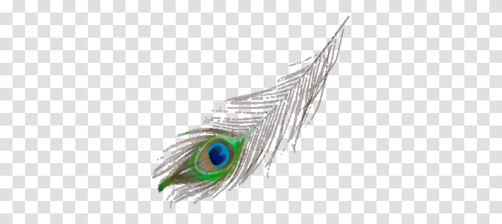 Peacock Feather Roblox Peafowl, Electronics, Screen, Ornament, Jewelry Transparent Png