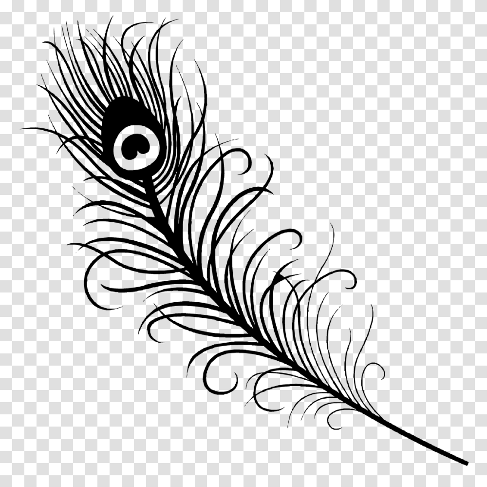 Peacock Feather Silhouette, Gray, World Of Warcraft Transparent Png