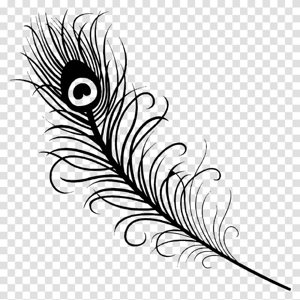 Peacock Feather Vector, Gray, World Of Warcraft Transparent Png