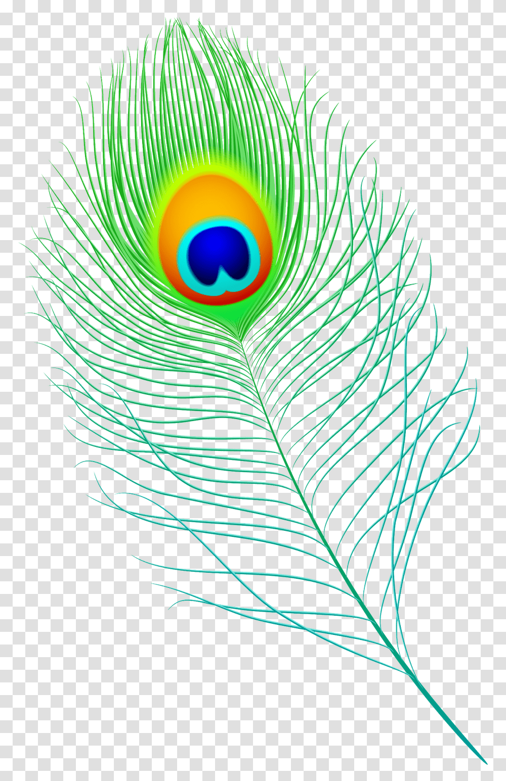 Peacock Feather Vector Peacock Feather Pen Vector, Ornament, Pattern, Fractal Transparent Png