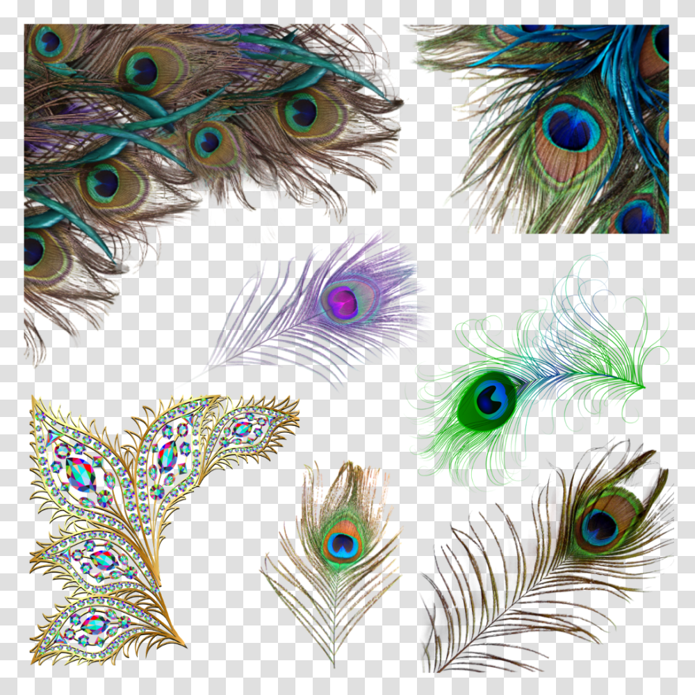 Peacock Feathers Peacock Feather, Pattern, Bird, Animal, Ornament Transparent Png