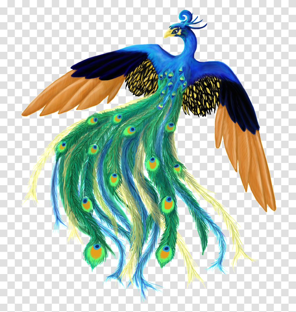 Peacock For Illustration, Bird, Animal, Pattern Transparent Png