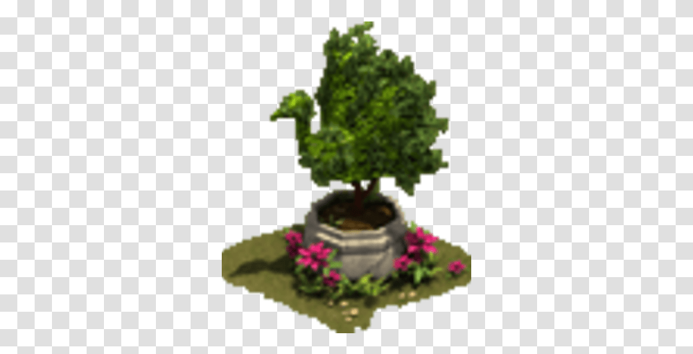Peacock Hedge Tree, Plant, Potted Plant, Vase, Jar Transparent Png
