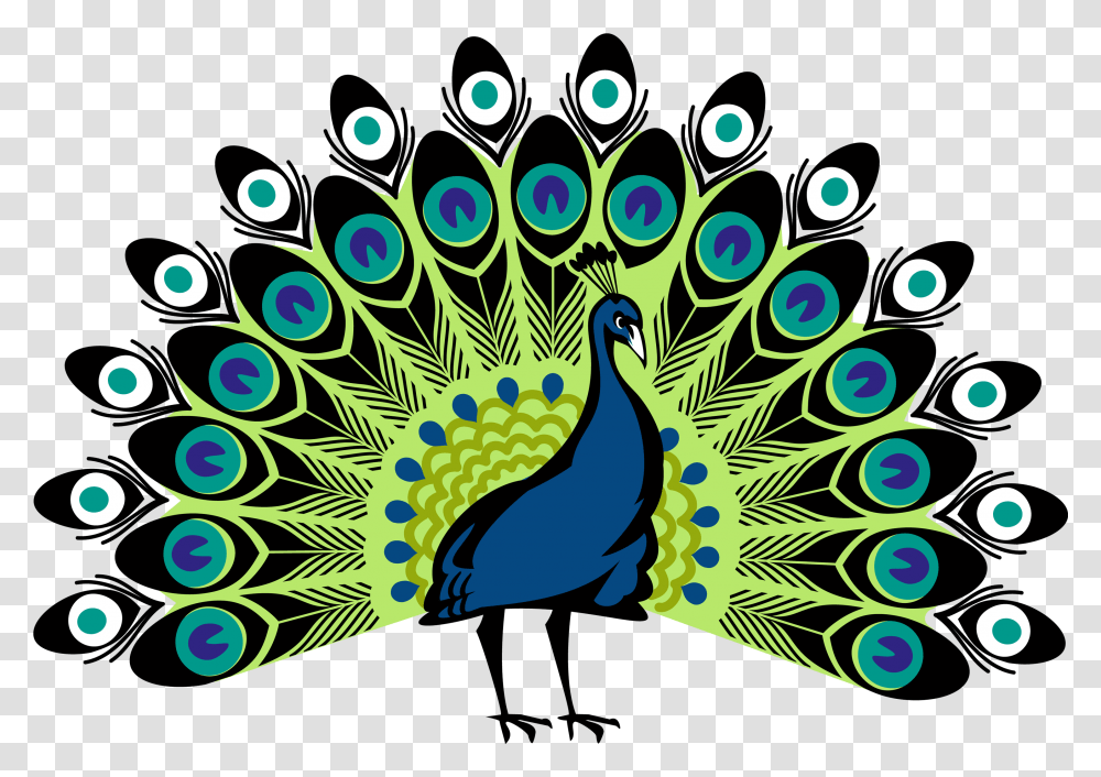 Peacock Peacock, Bird, Animal, Graphics, Art Transparent Png