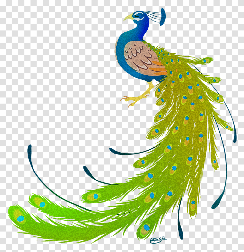 Peacock Peacock Images Hd, Bird, Animal Transparent Png