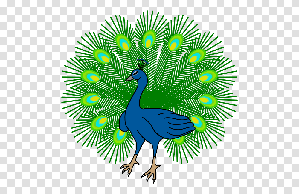 Peacock Pictures, Bird, Animal Transparent Png