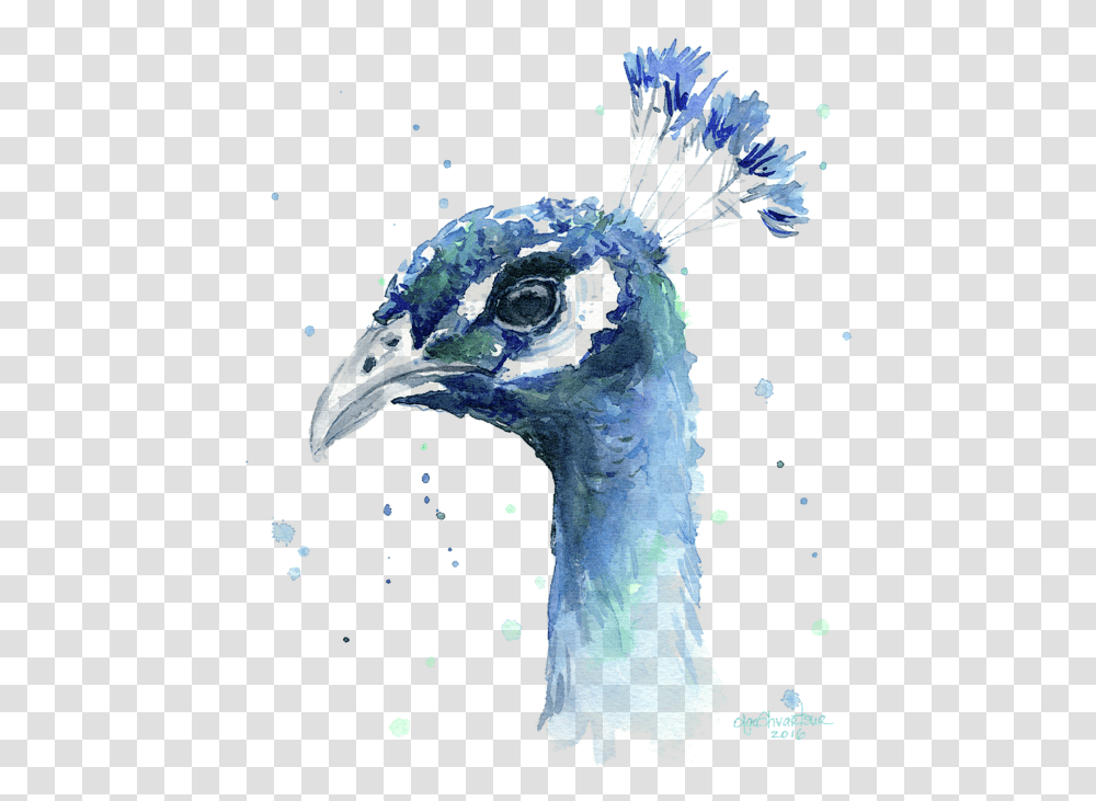 Peacock Watercolor Painting, Bird, Animal, Beak, Blue Jay Transparent Png