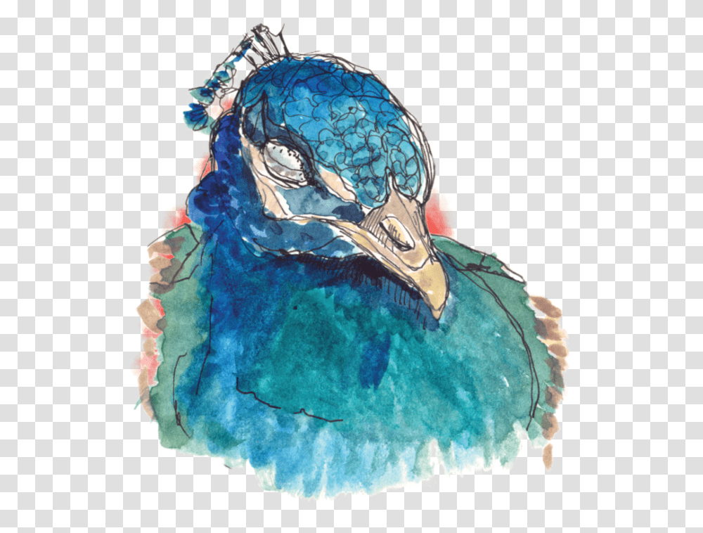 Peacock Watercolorink On Paper, Bird, Animal, Person Transparent Png