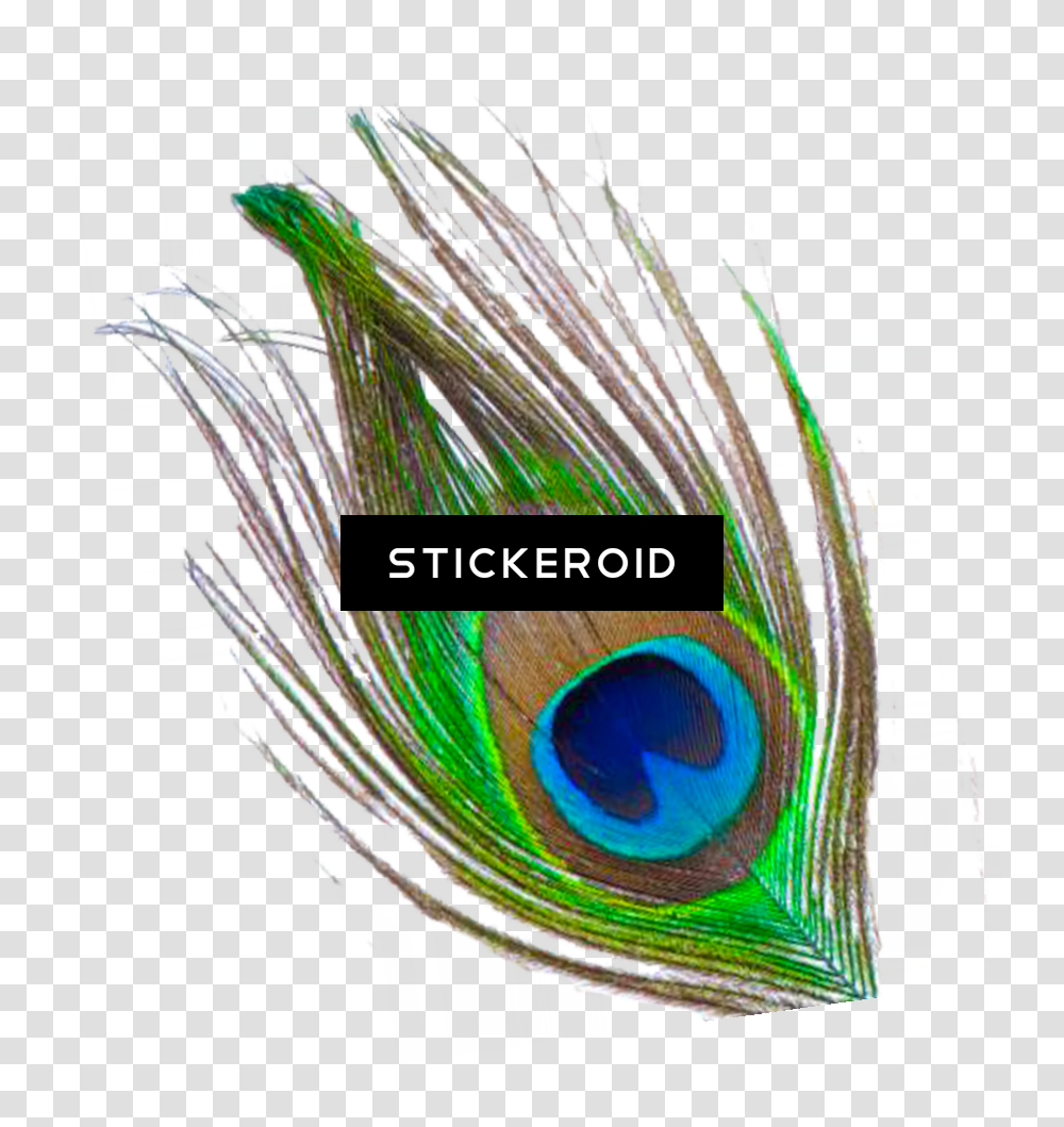 Peacock Wedding Clipart Single Peacock Feather, Collage, Poster, Advertisement Transparent Png