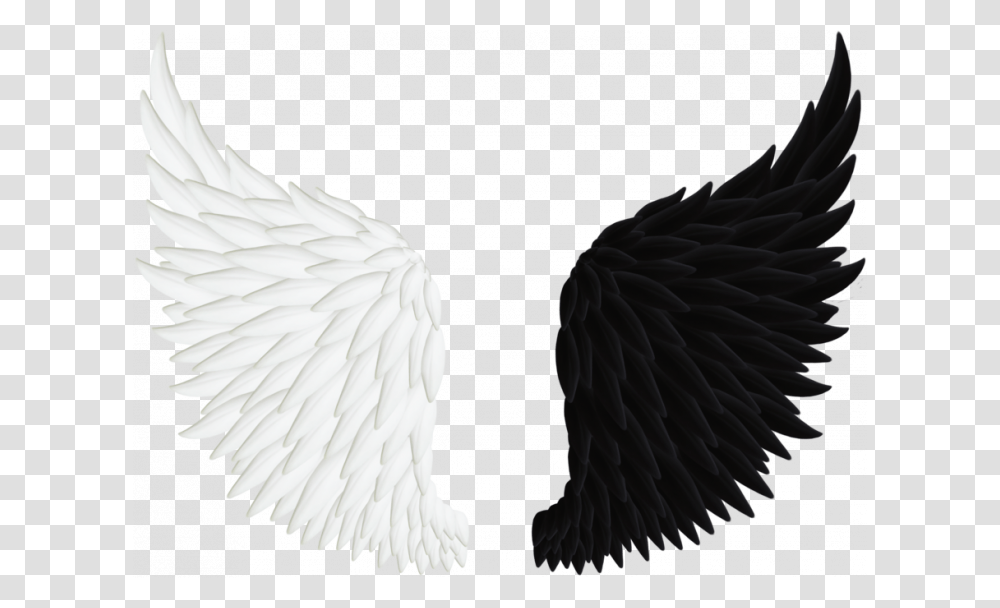 Peacock Wings, Bird, Animal, Swan, Waterfowl Transparent Png