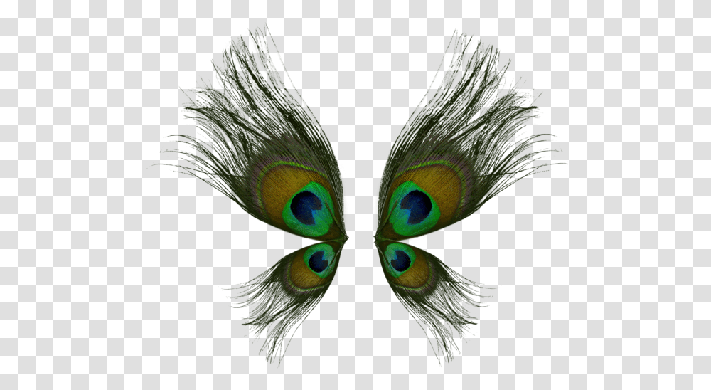Peacock Wings, Pattern, Ornament, Animal, Bird Transparent Png