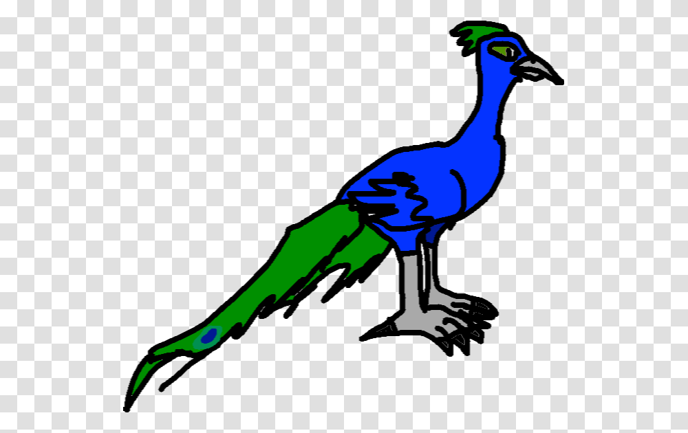 Peafowl, Bird, Animal, Jay, Person Transparent Png