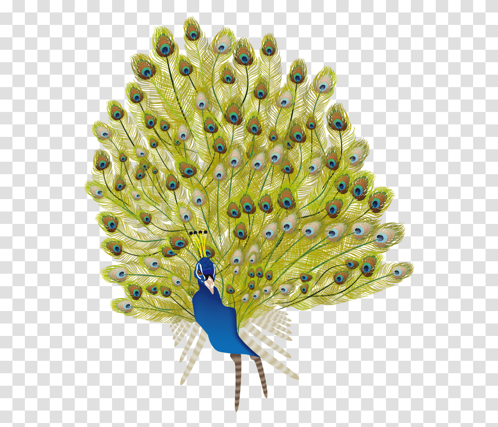 Peafowl, Bird, Animal, Peacock Transparent Png
