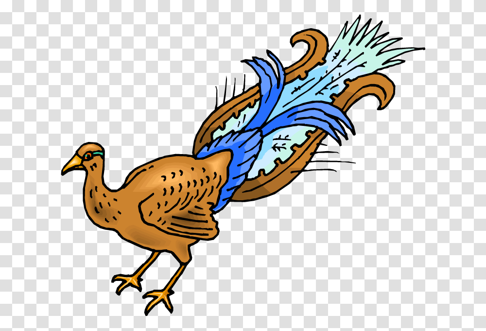 Peafowl, Bird, Animal, Poultry, Dodo Transparent Png
