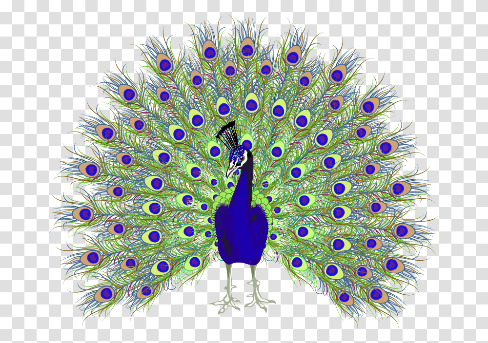 Peafowl Euclidean Vector Peacock, Bird, Animal Transparent Png