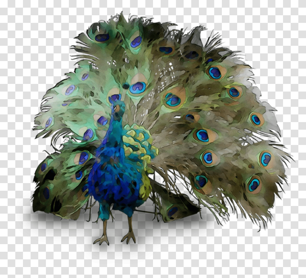 Peafowl Feather Beak Free Download Hd Clipart, Chicken, Poultry, Bird, Animal Transparent Png