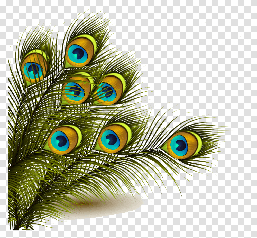 Peafowl Feather Clip Art Peacock Feather, Bird, Animal, Pattern, Ornament Transparent Png