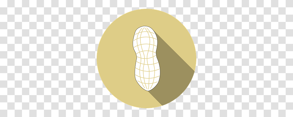 Peanut Light, Lamp, Plant, Vegetable Transparent Png