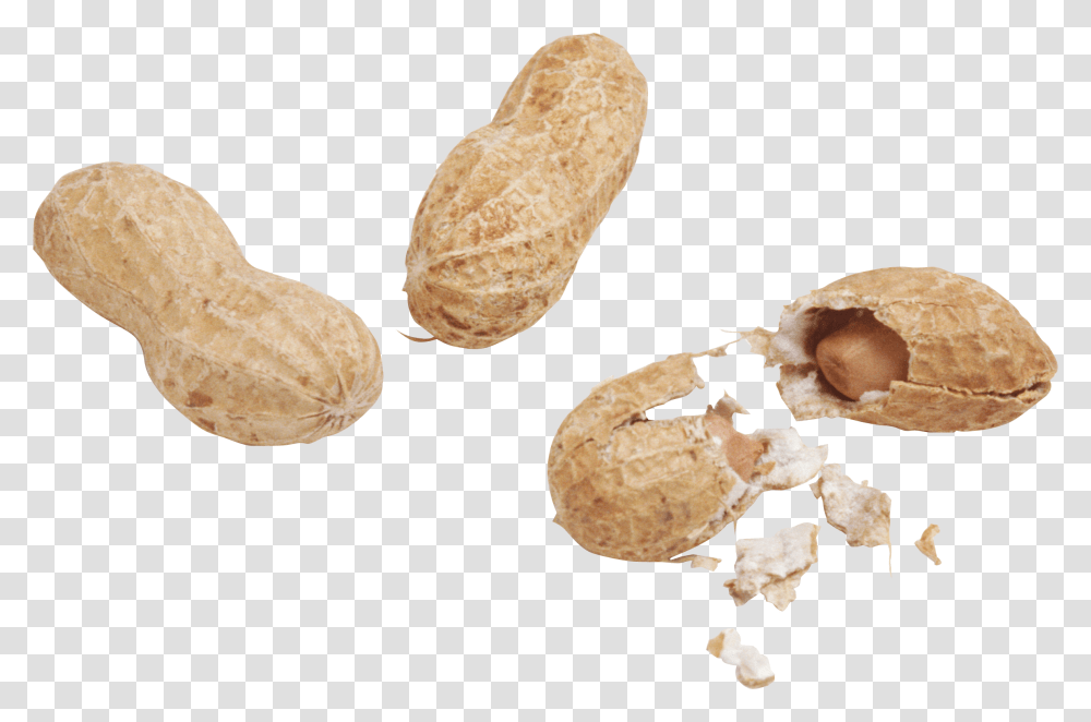 Peanut Arahis, Bread, Food, Plant, Vegetable Transparent Png