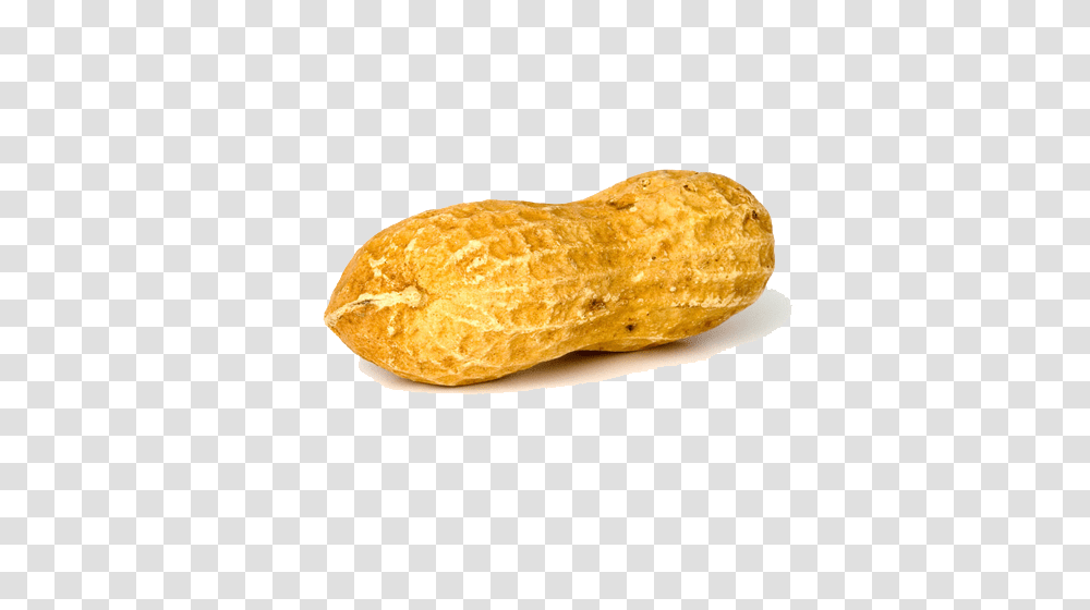 Peanut, Bread, Food, Plant, Vegetable Transparent Png