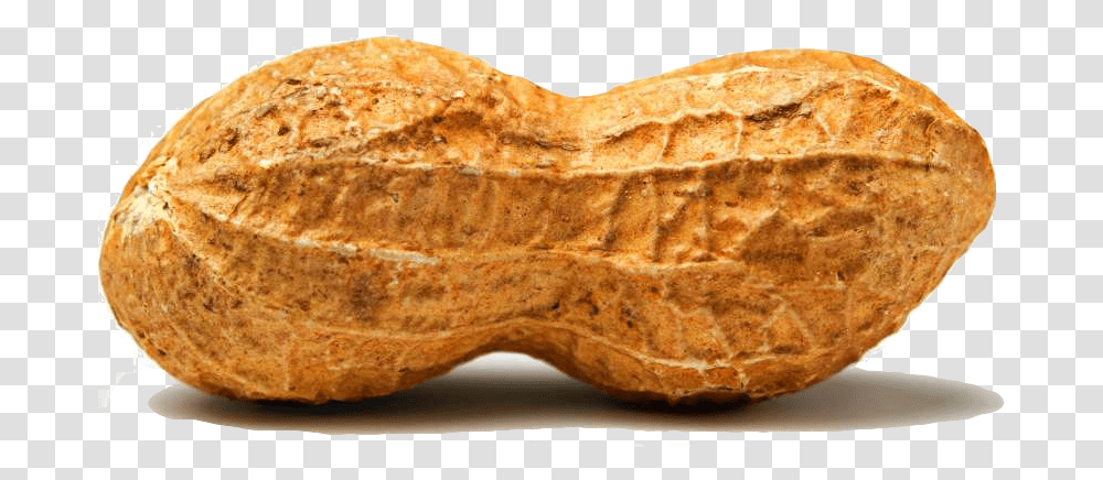 Peanut, Bread, Food, Plant, Vegetable Transparent Png