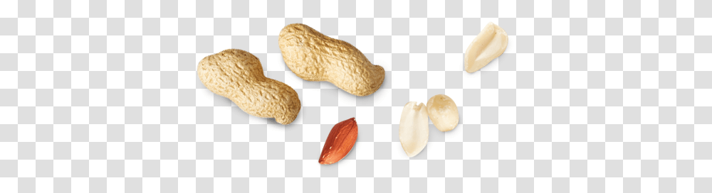 Peanut, Apparel, Plant, Vegetable Transparent Png