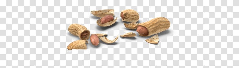 Peanut Download Image Shell Peanut Psd, Plant, Vegetable, Food Transparent Png