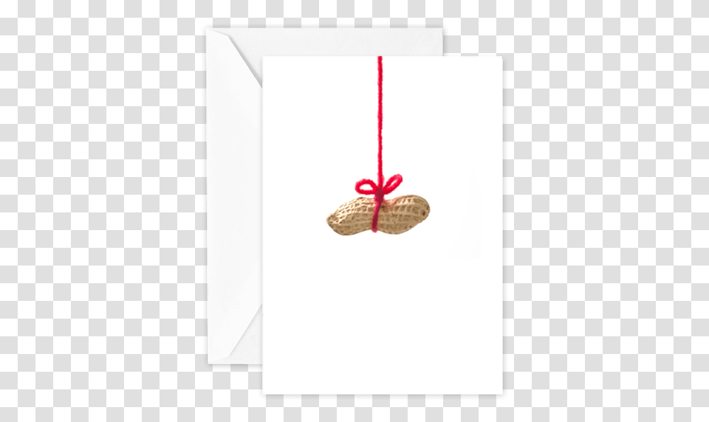 Peanut Greeting Card, Plant, Tree, Ornament, Seed Transparent Png
