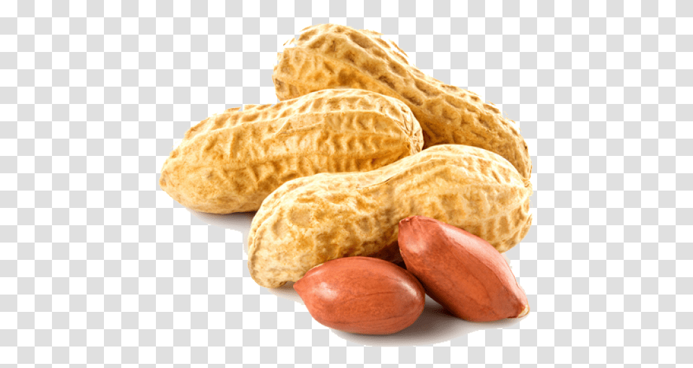 Peanut Images Background Peanut Clipart, Plant, Bread, Food, Vegetable Transparent Png